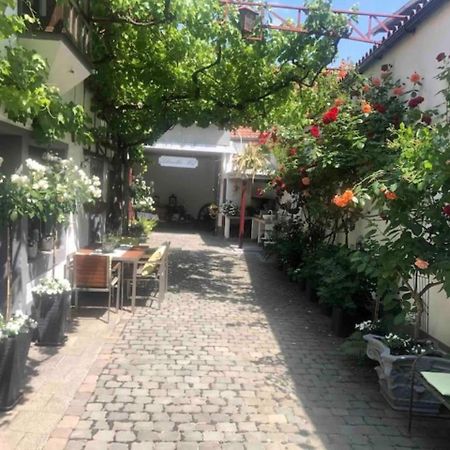 Ferienwohnung Im 'Schmoller - Hof' Neustadt an der Weinstraße 外观 照片