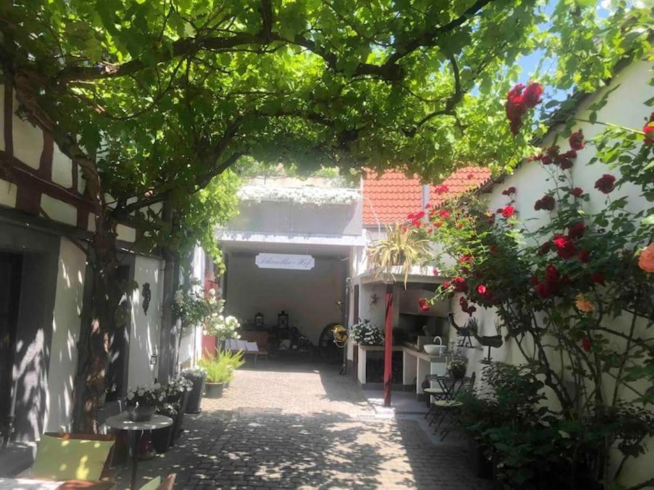 Ferienwohnung Im 'Schmoller - Hof' Neustadt an der Weinstraße 外观 照片