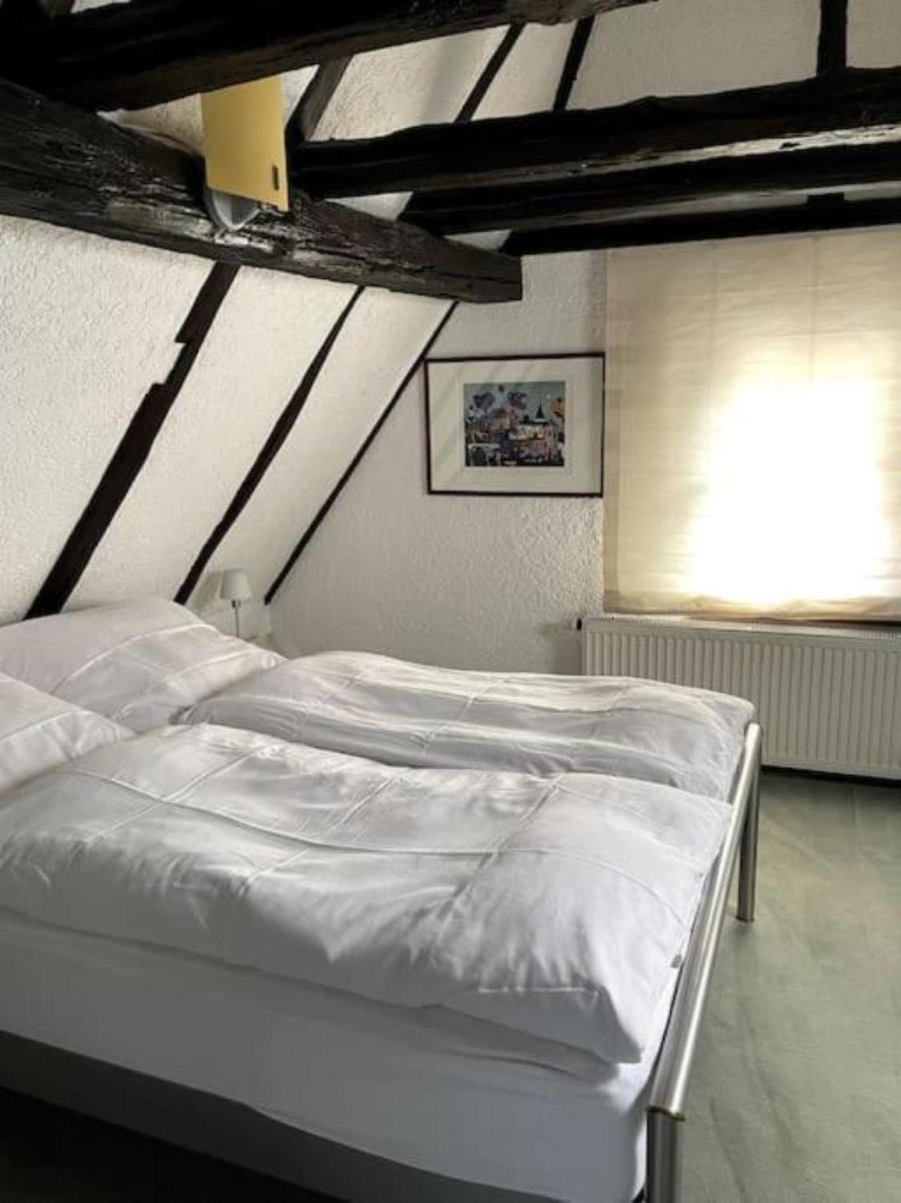 Ferienwohnung Im 'Schmoller - Hof' Neustadt an der Weinstraße 外观 照片