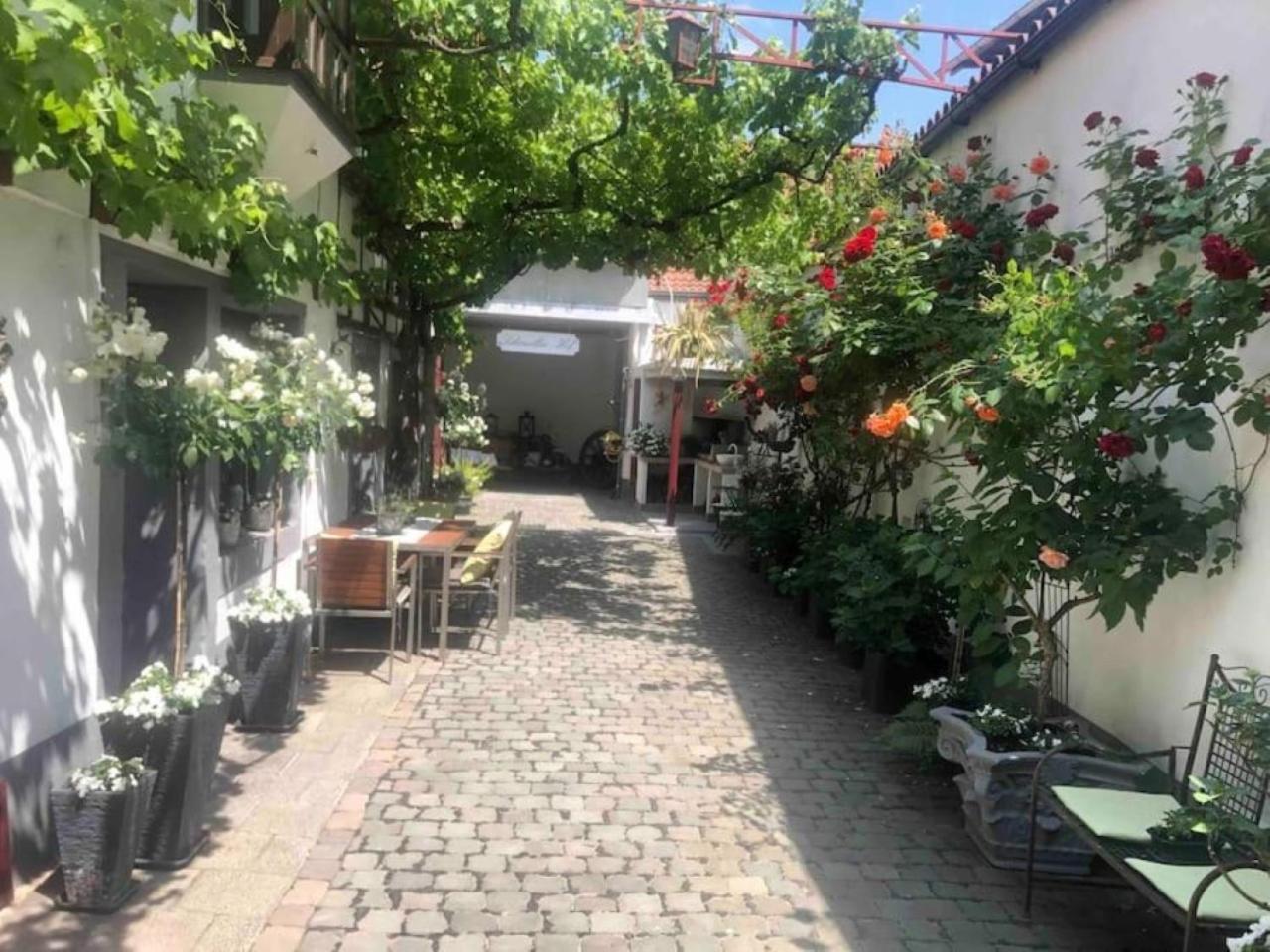 Ferienwohnung Im 'Schmoller - Hof' Neustadt an der Weinstraße 外观 照片